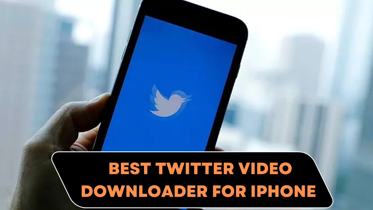 best twitter video downloader for iPhone