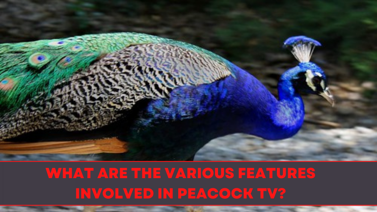 What are the various features involved in peacock tv?
