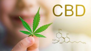 Common CBD Myths 